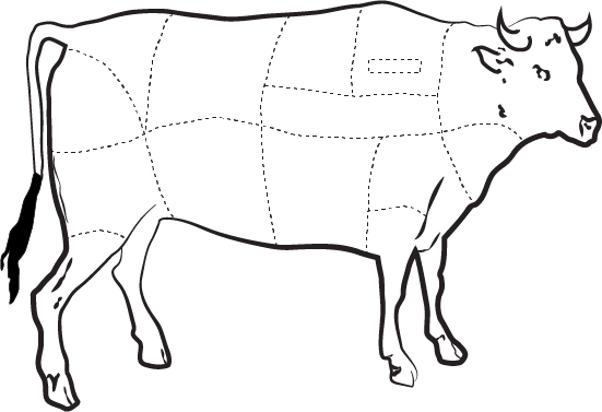 A vector line drawing of a cow
